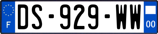 DS-929-WW