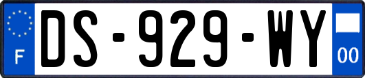 DS-929-WY