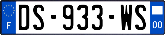 DS-933-WS
