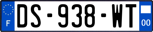 DS-938-WT