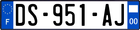 DS-951-AJ