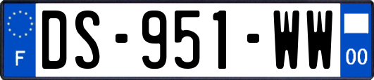 DS-951-WW