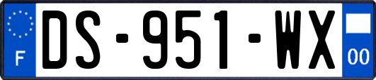DS-951-WX