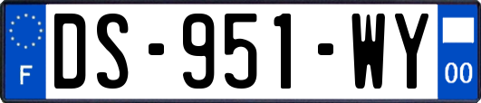 DS-951-WY