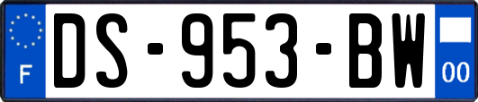 DS-953-BW