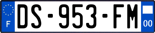 DS-953-FM