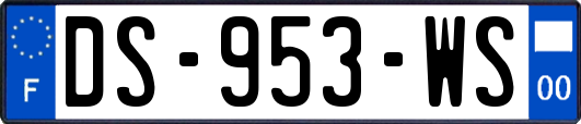 DS-953-WS