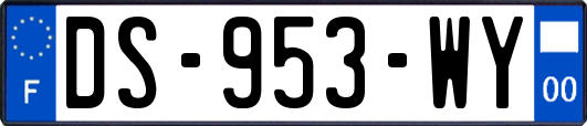 DS-953-WY