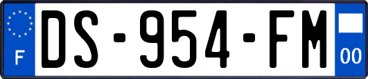 DS-954-FM