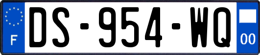 DS-954-WQ