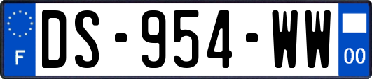DS-954-WW