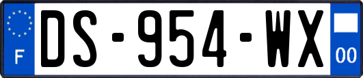 DS-954-WX