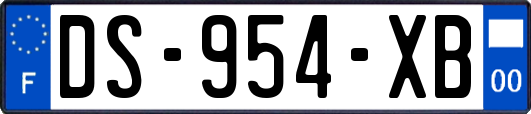 DS-954-XB
