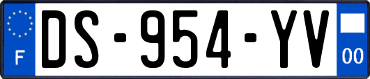 DS-954-YV