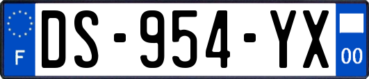 DS-954-YX