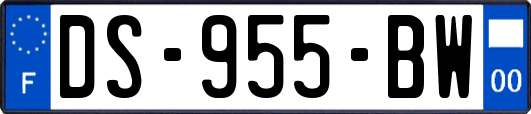 DS-955-BW