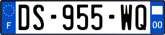 DS-955-WQ