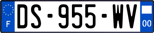 DS-955-WV