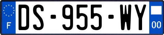 DS-955-WY