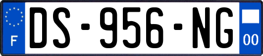 DS-956-NG