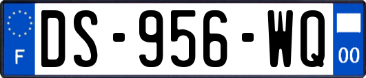 DS-956-WQ