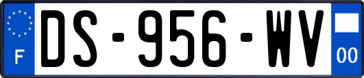 DS-956-WV