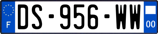 DS-956-WW