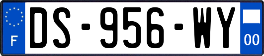 DS-956-WY
