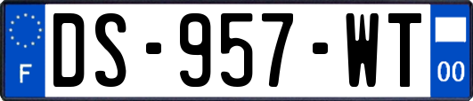 DS-957-WT