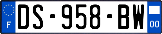 DS-958-BW