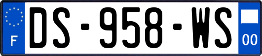 DS-958-WS
