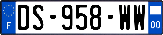 DS-958-WW