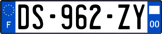 DS-962-ZY