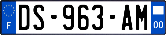 DS-963-AM