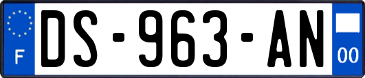 DS-963-AN