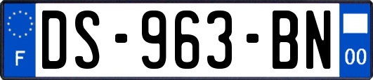 DS-963-BN