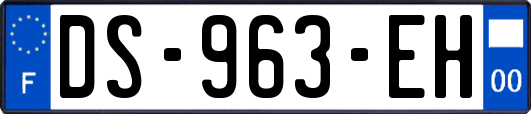 DS-963-EH