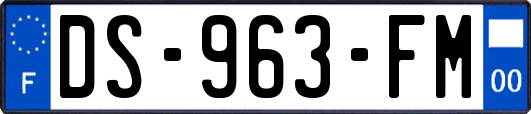 DS-963-FM