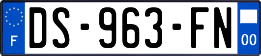 DS-963-FN