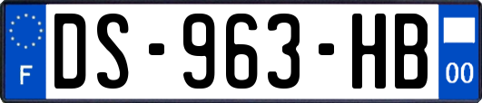 DS-963-HB