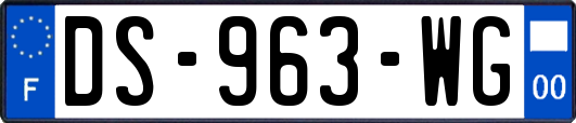 DS-963-WG