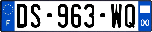 DS-963-WQ
