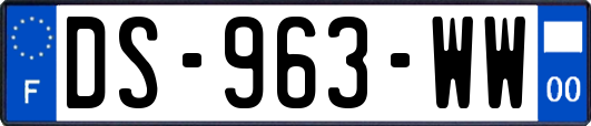 DS-963-WW