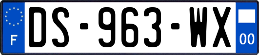 DS-963-WX