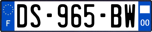 DS-965-BW