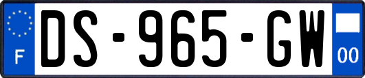 DS-965-GW