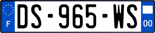 DS-965-WS