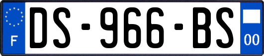 DS-966-BS