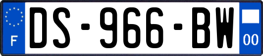 DS-966-BW