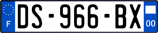 DS-966-BX
